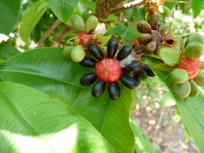 photo1