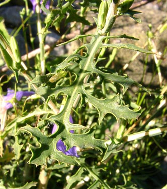 photo1