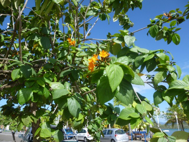 photo2