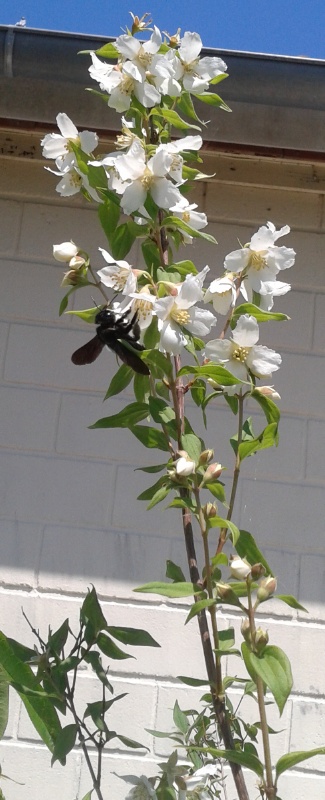 photo2