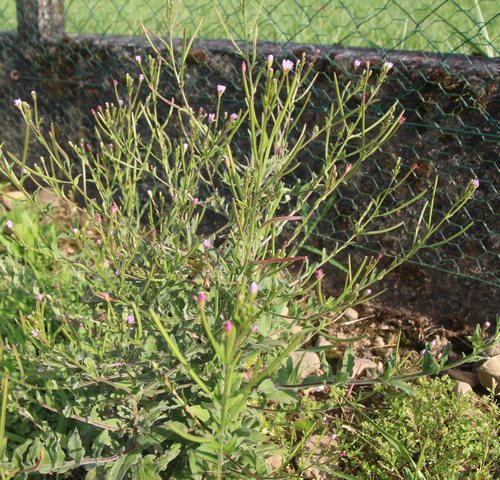 photo1