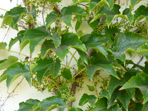 photo1