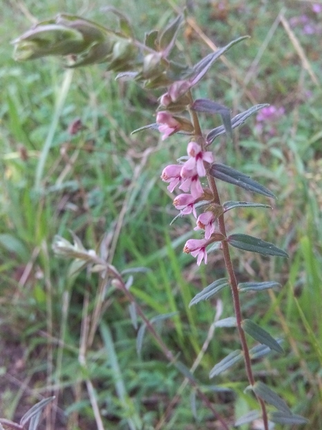 photo1