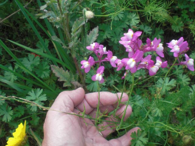 photo1