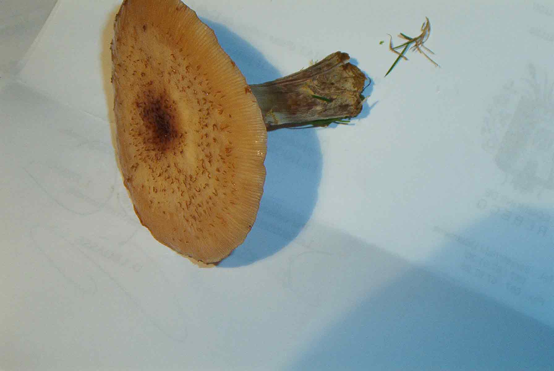 photo1