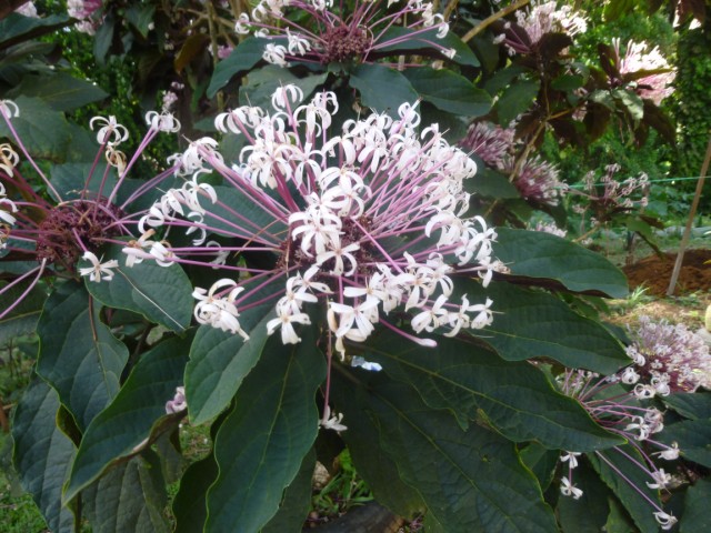 photo1