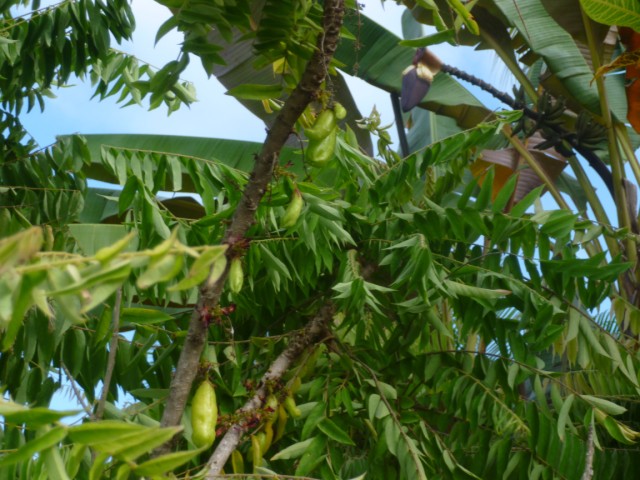 photo2