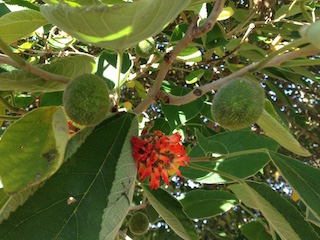 photo1