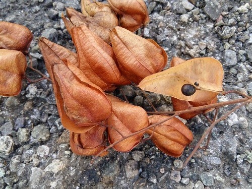 photo1