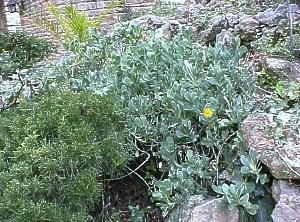 photo1