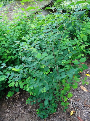 photo2