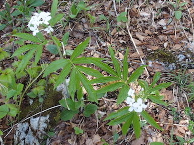 photo1