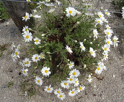 photo1