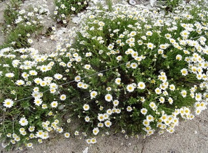 photo2