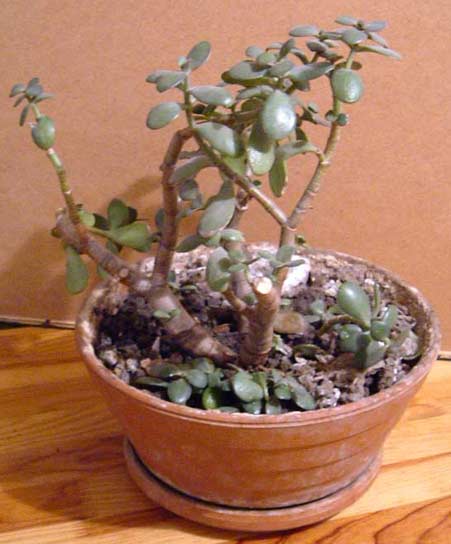 photo1