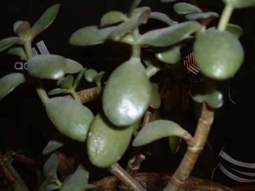 photo2