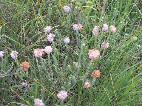 photo1