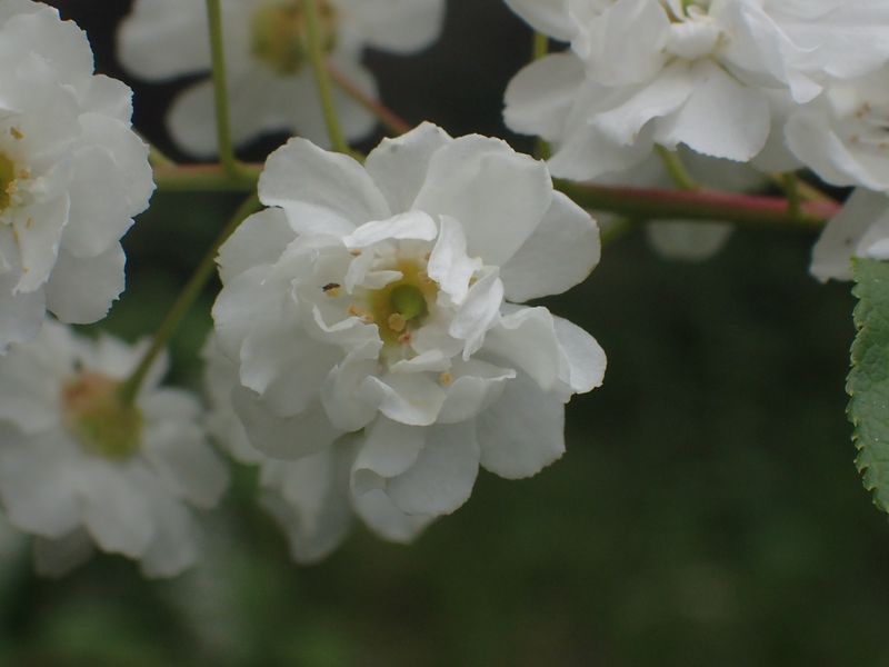 photo2