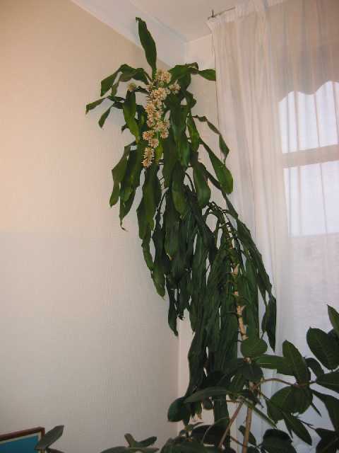 photo1