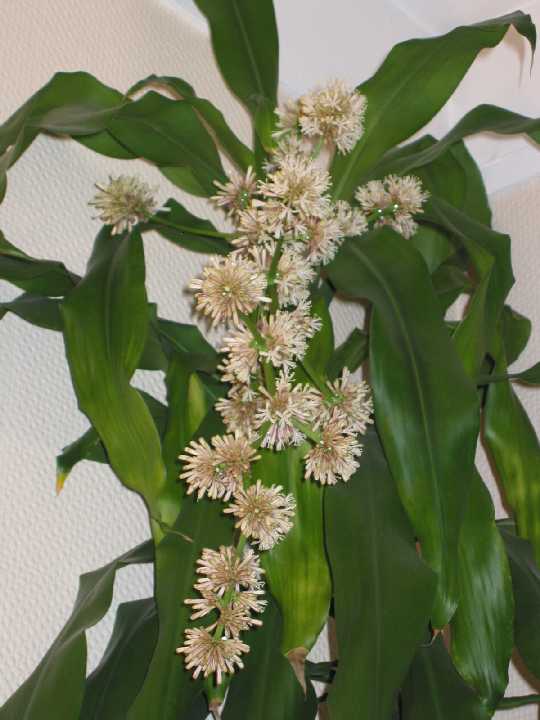 photo2