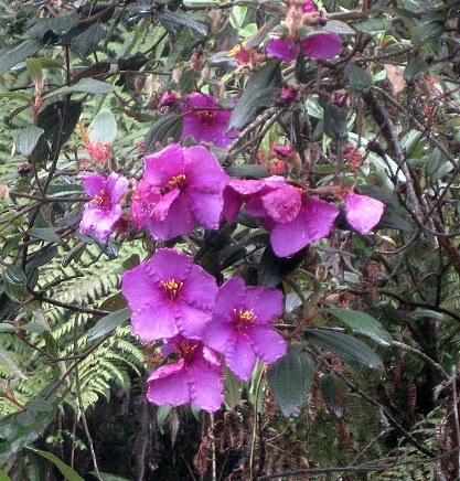 photo1