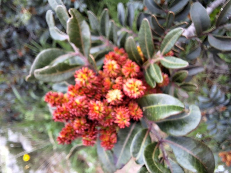 photo1
