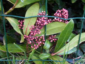 photo1
