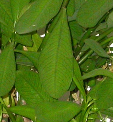 photo2