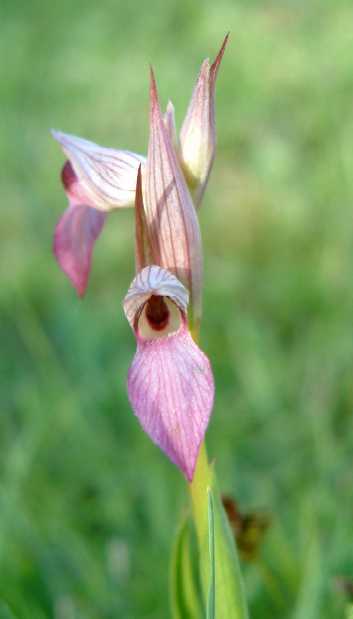 photo2