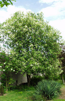 photo1