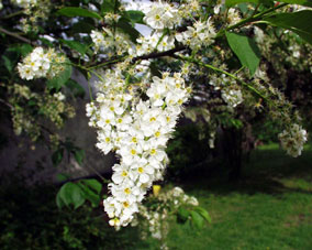photo2