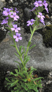 photo2