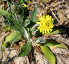photo1
