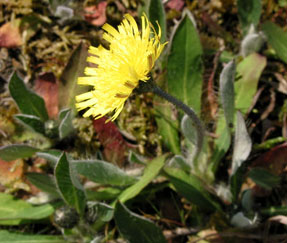 photo2