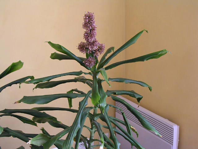 photo1