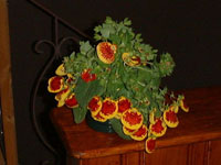 photo1
