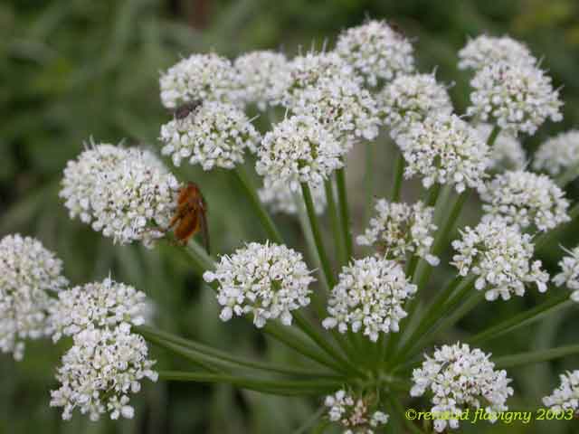 photo2