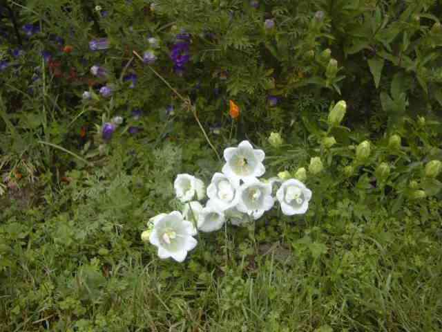 photo1