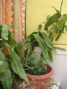 photo1