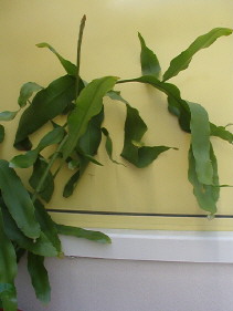 photo2