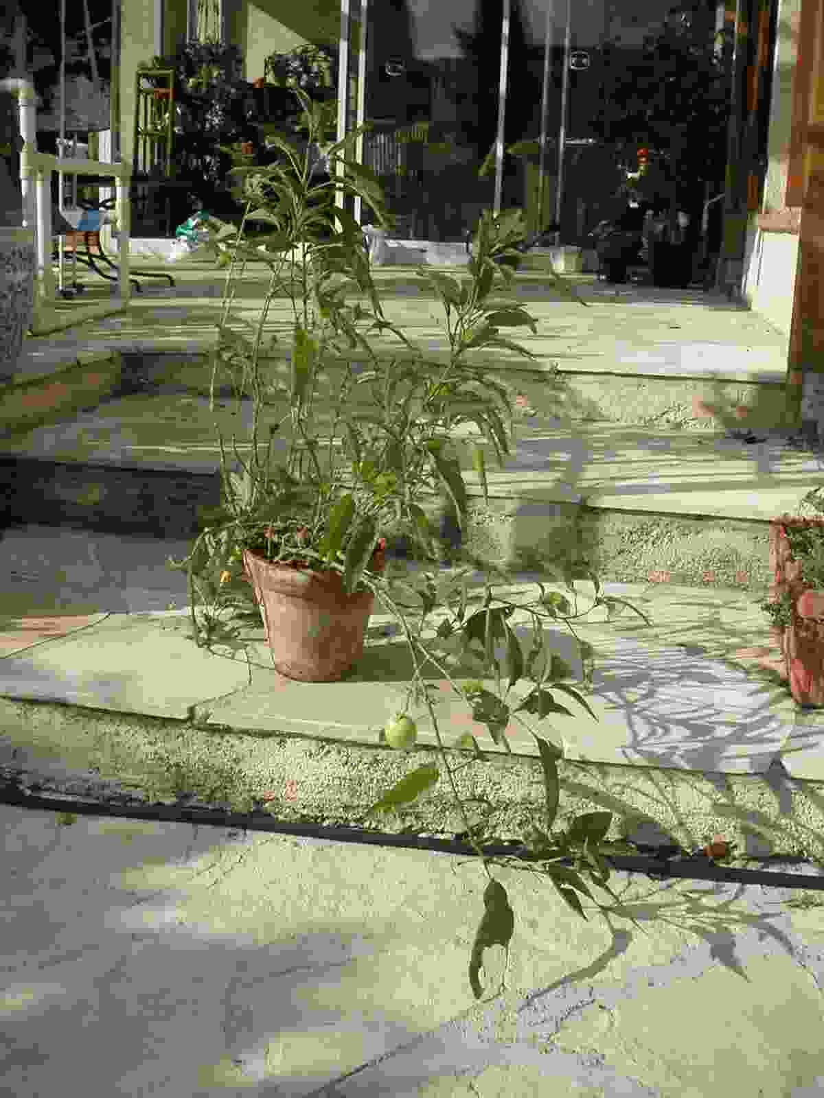 photo1