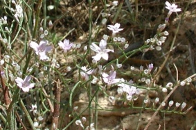 photo1