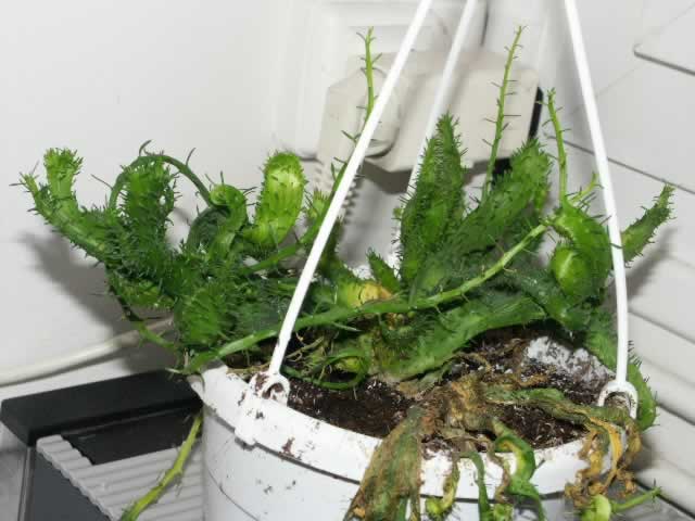 photo1
