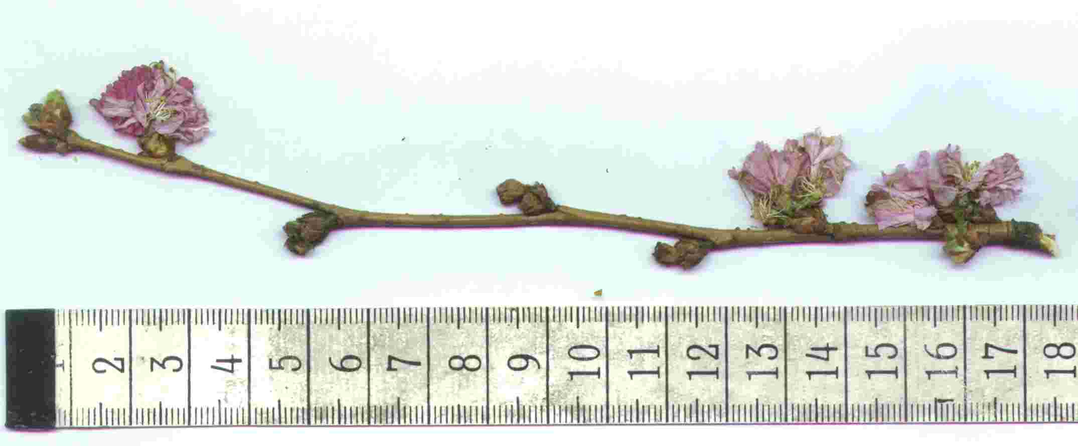 photo1