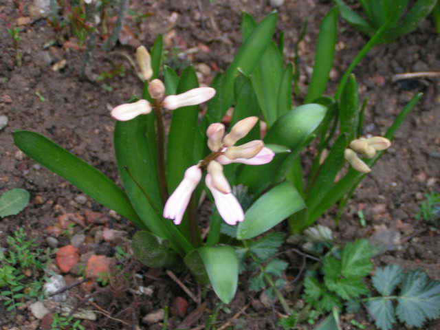 photo1