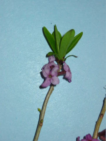 photo2