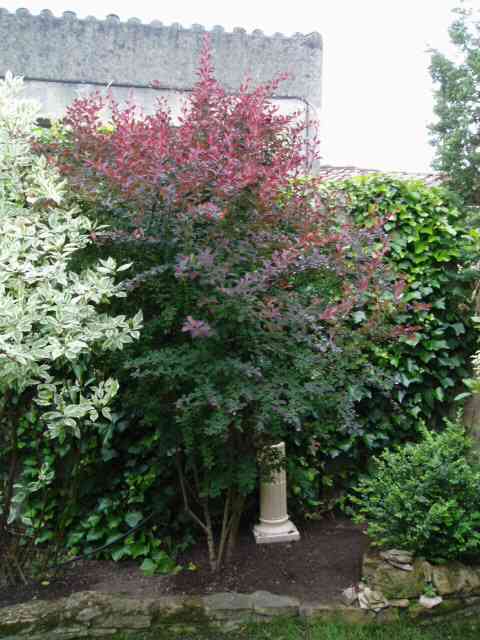 photo1