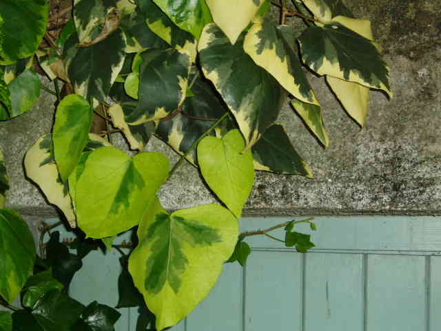 photo2