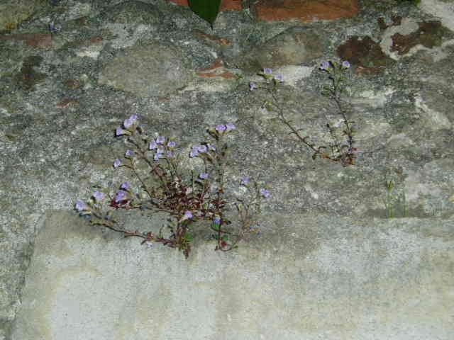 photo1