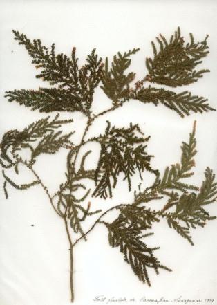 photo1